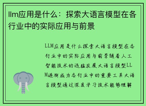 llm应用是什么：探索大语言模型在各行业中的实际应用与前景